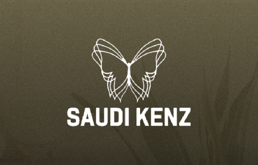 Interior design digital marketing campaign Saudi Kenz – Eclipse Advertising